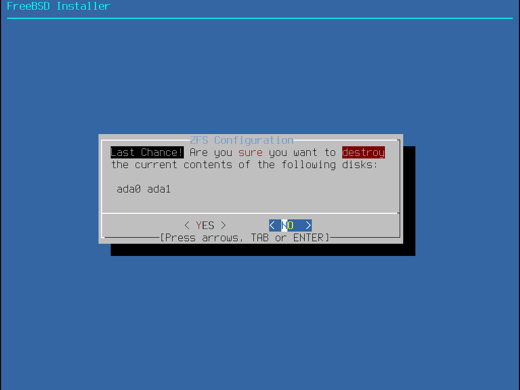bsdinstall zfs warning