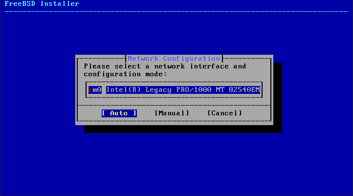 bsdinstall configure network interface