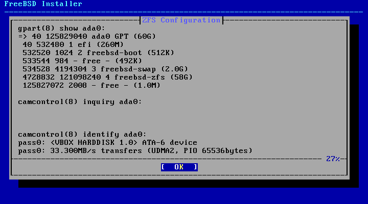 bsdinstall zfs disk info