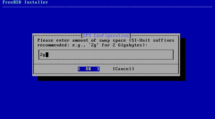 bsdinstall zfs swap amount